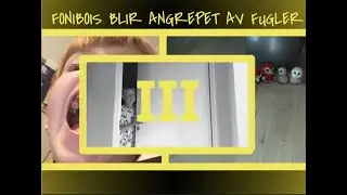FONIBOIS BLIR ANGREPET AV FUGLER III (20 abbonenter spesial!)