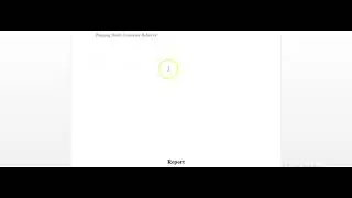 Consumer Behavior Report