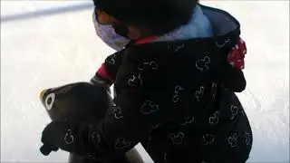 WINTER FUN!!! Ice skating at Red Arrow park