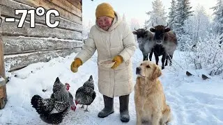 Winter at &ndash;71&deg;C | How a Widow Lives and Cares for Animals in Siberia