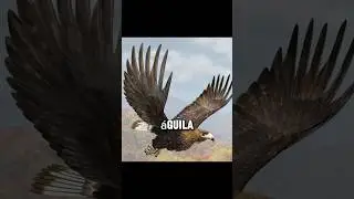 Las aves nacionales que tienen en cada pa&iacute;s #shorts
