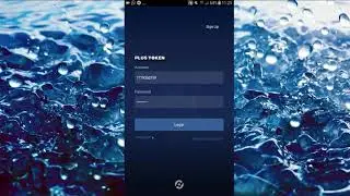 Как перевести деньги в кошельке PLUS TOKEN