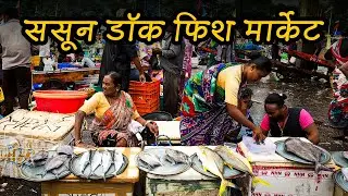 Sassoon Dock Fish Market अनुभव | पहाटेचा प्रवास, मित्रांची मस्ती आणि घरी धक्का!