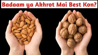 Best Anti-aging Nut | Brain Health | Weight Loss Nut |