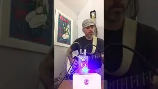 Alchemy Audio built one knob boost (based on the Mr. Black Tiger Boost)