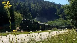 Das Kuckucksb&auml;hnel unterwegs im Elmsteiner Tal