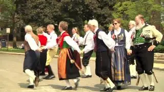 Sm&aring;landspolska