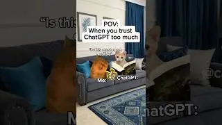 When you trust ChatGPT too much #shorts #catmemes #relatable #funny