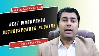 Best WordPress Autoresponder Plugins to Boost Email Marketing in 2024