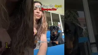 Dogs Can&rsquo;t Handle Despacito👀😹