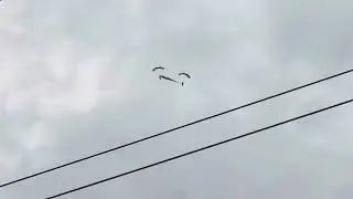 Quick catch of the Us army golden knights parachute team jumping for the Ryder cup golf tournament 