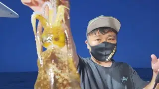 [팁런에깅] 역방향과 정방향 팁런에깅낚시에 대한 생각 (530라이브 리뷰)
