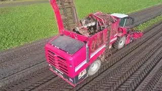 Zuckerrüben Ernte 2017 Rübenroder Grimme Kleine RL 350 V