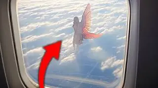 Tous ceux qui ont regardé ces vidéos n'ont pas d'explication !