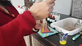 Food Test, ISC Practical 11, PPMA School