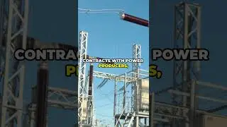 PM Shehbaz's Big Power Tariff Cut! #trending #facts #like #pakistan #shehbazsharif #subscribe #ai