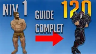 Niveau 1 à 120 | Guide Complet (World Of Warcraft)