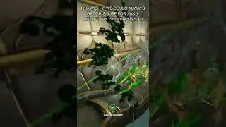 XAKU WARFRAME #shorts Crazy Weapon Over kill