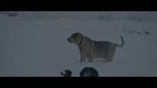 Doggy snow day