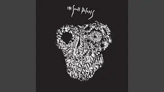 A Message From The Skull Defekts