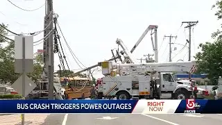 School bus takes down wires, pole in crash