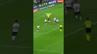 Gola&ccedil;o de Pedro Hat trick #pedro #flamengo #futebol