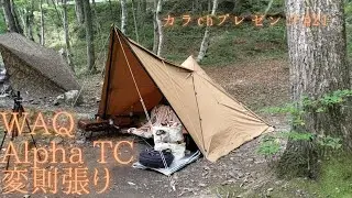 カラch#21  WAQ Alpha TC 雨漏り対策変則張り