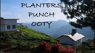 Planters Punch Ooty #ooty#travel#resort#trip#stay