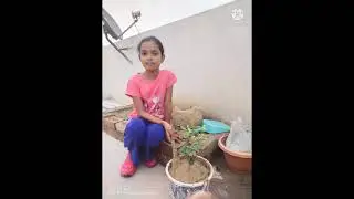 World Environment Day 2021 / KV AMHAT / Primary Students