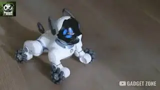 gadget zone crazy gadget