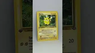 Pok&eacute;mon Card Showcase