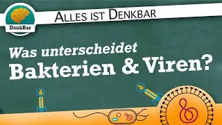 Unterschiede von Bakterien und Viren