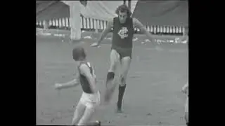 Stan Alves Melbourne 226 games 1972 1974 best and fairest