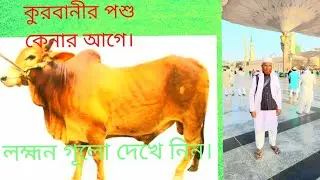 Eid Mubarak/ kurbani special video/ best video/ short video/ Islamic waz/ #AR BD.