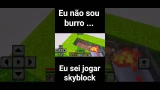 Eu n&atilde;o sou burro eu sei jogar Skyblock #minecraft #memes ##shorts #viral