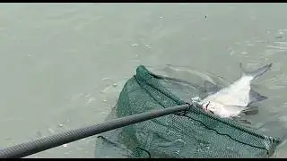 Зимняя ловля на открытой воде