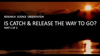 Is catch & release the way to go?