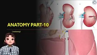 CH-19: ANATOMY PART-10 (-ectomy) l Medical Coding Course l CMC l Coding Career