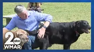 Wyman Park dog haven faces uncertain future