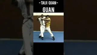 Martial Arts technique - Taiji quan - Guan #martialart #technique #taijiquan