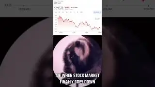 Me when stock market finally goes down #memes #meme #investing #stocks #trending #trendingshorts