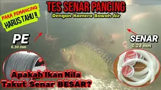 TES Mancing Nila Pakai PE vs Senar Besar || Lokasi : Spot Liar Waduk Cirata