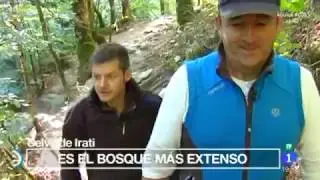 Descubriendo la Selva de Irati , Espa&ntilde;a Directo