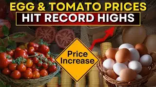 Egg & Tomato Price Shock: Egg Bhurji Seller Share Their Struggle