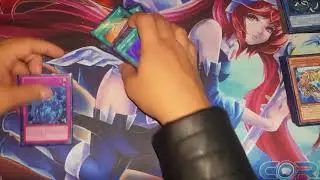 11/28/2017 FIRST MERMAIL DECK PROFILE FT. FROGS