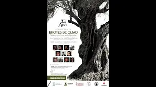 CONCIERTO TRIBUTO A BROTES DE OLIVO