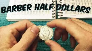 Searching A Tube Of Barber Half Dollars | APMEX