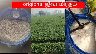 @deejayfarming8335 origionalஜீவாமிர்தம் 