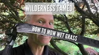 How To Mow Wet Grass