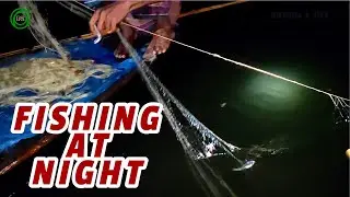 Fishing at night by Poor fisherman। রাতে মাছ ধরা। Fish।मछली पकड़ने।மீன்பிடித்தல்।ловит рыбу। Fishing